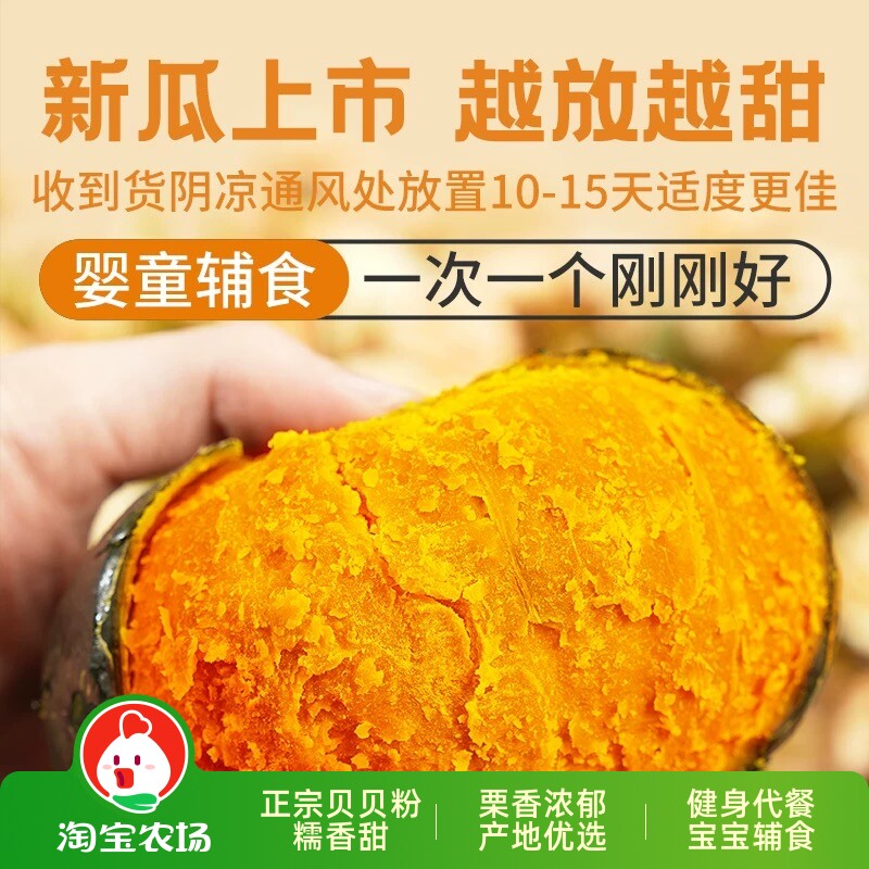 正宗贝贝小南瓜板栗味新鲜现摘粉糯产地宝宝辅食黄金粗粮美食蔬菜