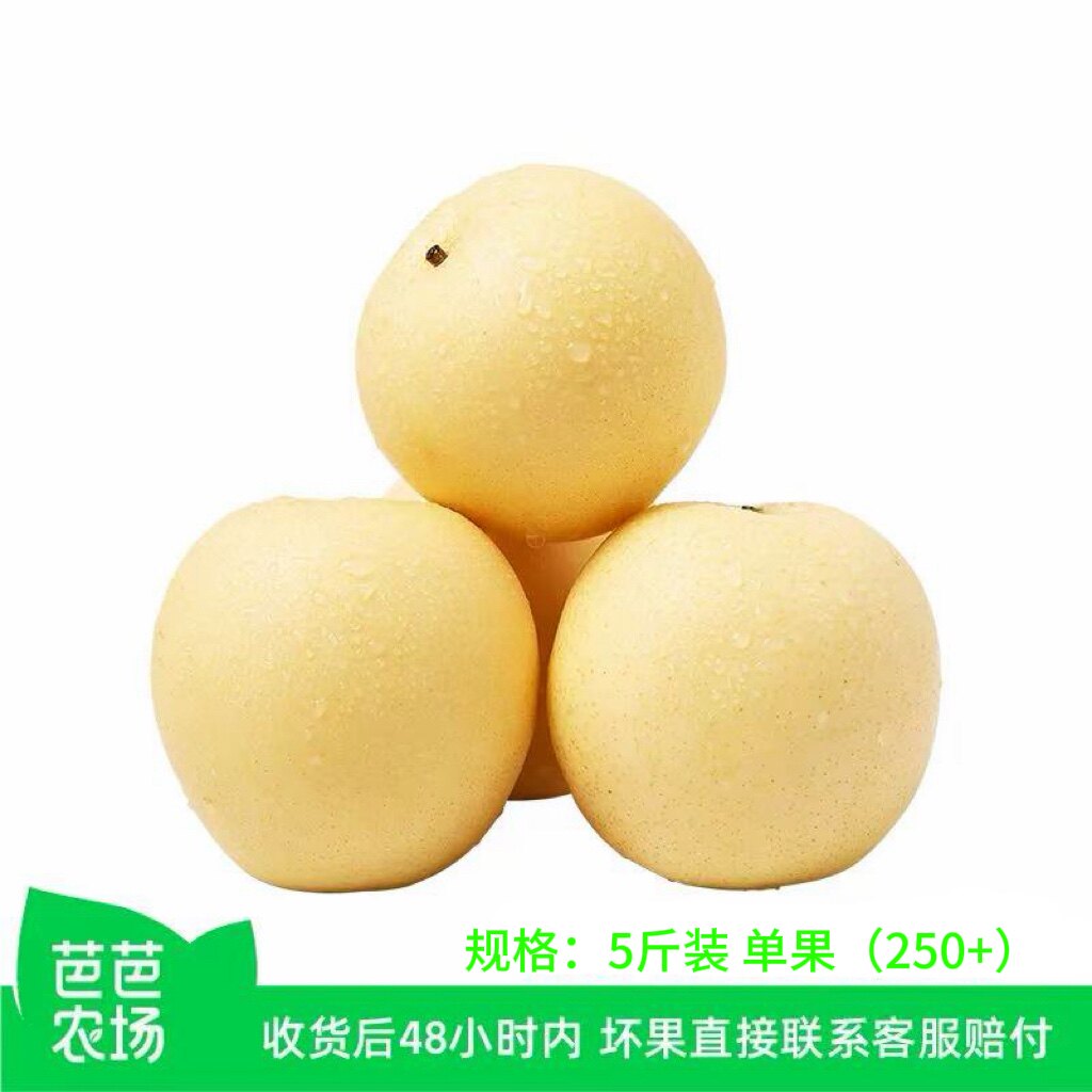 【芭芭农场兑换专享】河北白皇冠梨新鲜梨子水果5斤