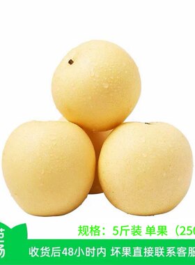 【芭芭农场兑换专享】河北白皇冠梨新鲜梨子水果5斤