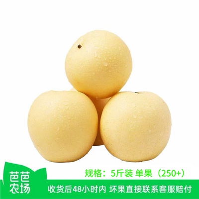 【芭芭农场兑换专享】河北白皇冠梨新鲜梨子水果5斤