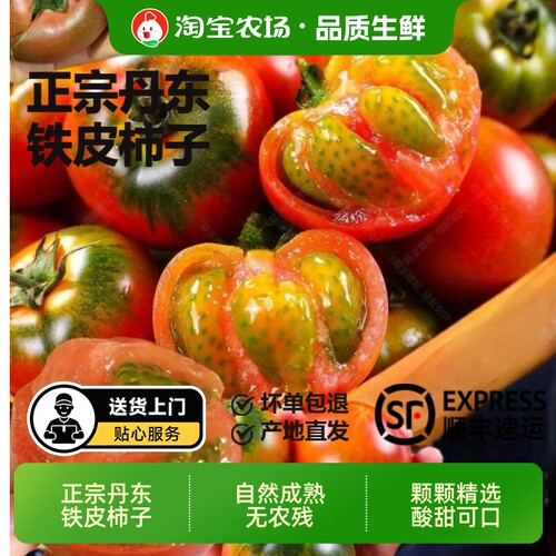 5斤顺丰盘锦碱地铁皮柿子丹东草莓柿子西红柿番茄孕妇水果自然熟