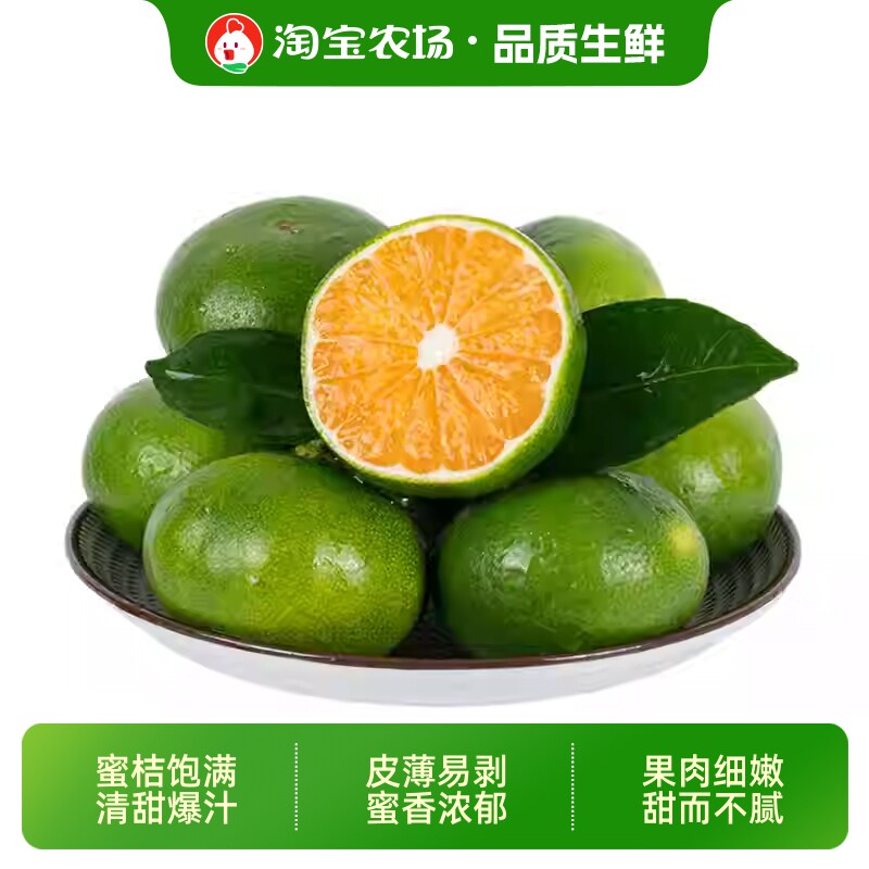 正宗云南蜜橘当季新鲜水果无籽青皮桔子孕妇水果9斤整箱包邮现摘