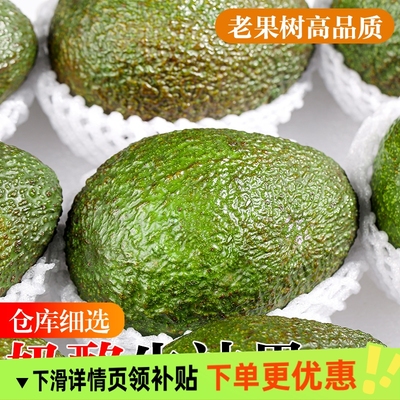 牛油果新鲜水果秘鲁进口鳄梨整箱包邮熟透即食正宗哈斯奶油新鲜果