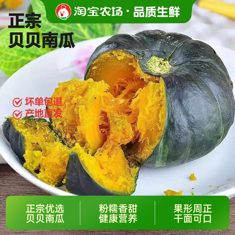 正宗板栗味贝贝小南瓜新鲜宝宝辅食孕妇黄金粗粮产地直发农场香甜