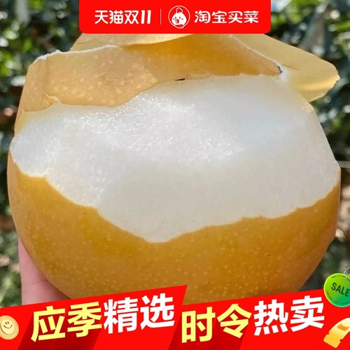 正宗秋月梨新鲜梨子当季现摘冰糖梨雪梨蜜梨整箱包邮