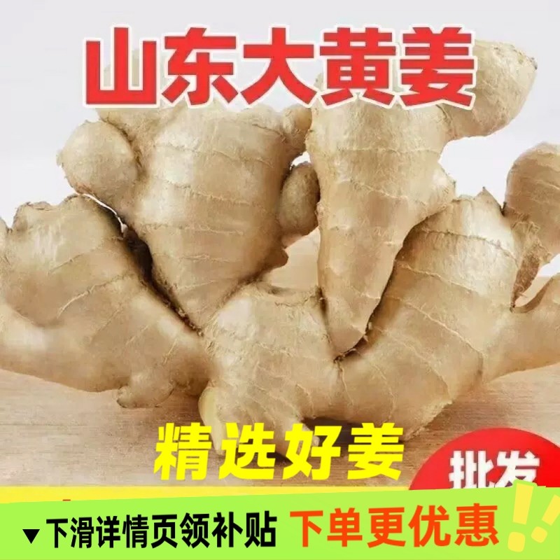 山东生姜大姜大黄姜风干姜优质新鲜农家种植黄姜大块老姜批发