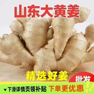 山东生姜大姜大黄姜风干姜优质新鲜农家种植黄姜大块老姜批发