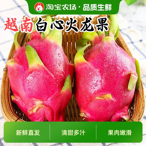 白心火龙果越南进口热带水果当季新鲜薄皮白肉非红心现摘大果农场