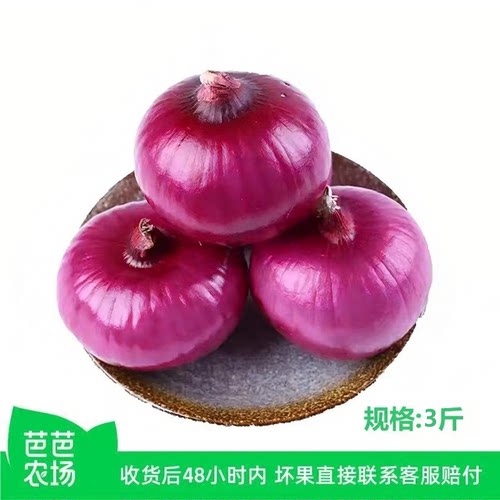 新鲜洋葱农家自种3斤单果150g+