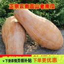 云南老南瓜高原蜜本瓜长南瓜清甜农家现摘原产地直供非贝贝小南瓜