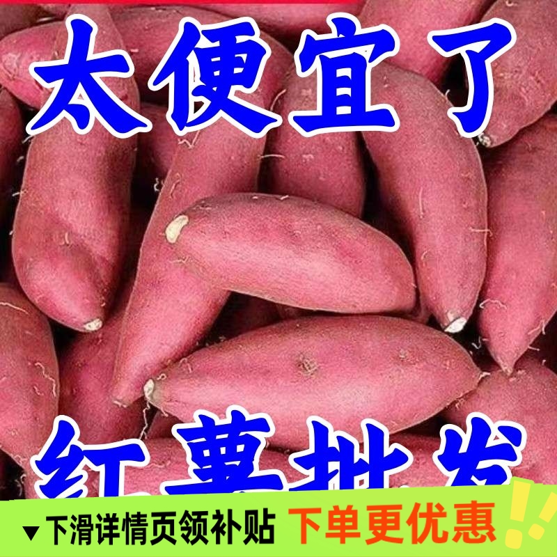 新鲜蜜薯5/9斤板栗红薯沙地糖心地瓜农家自种番薯现挖烟薯