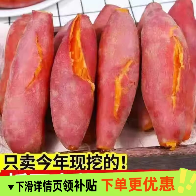 沙地蜜薯新鲜红薯9斤农家自种香甜薯板栗黄心烤地瓜糖心番薯山芋