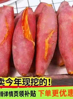 沙地蜜薯新鲜红薯9斤农家自种香甜薯板栗黄心烤地瓜糖心番薯山芋