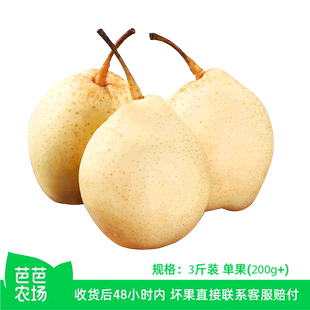 【芭芭农场兑换】河北鸭梨3斤单果200g+（2Y)