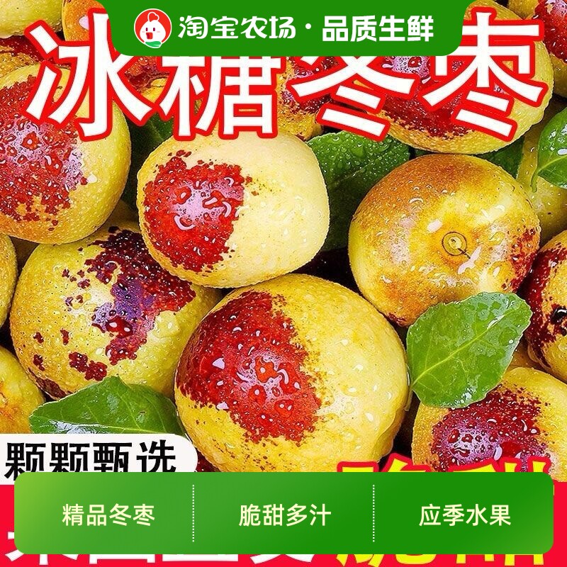 沾化冬枣5斤装新鲜应季枣子脆枣大枣当季水果礼盒装冰糖脆甜农场