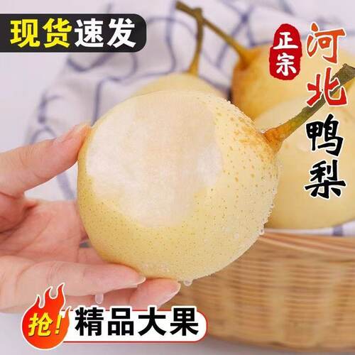 鸭梨河北特产梨子水晶梨皮薄核小新鲜水果肉清甜多汁梨子整箱包邮