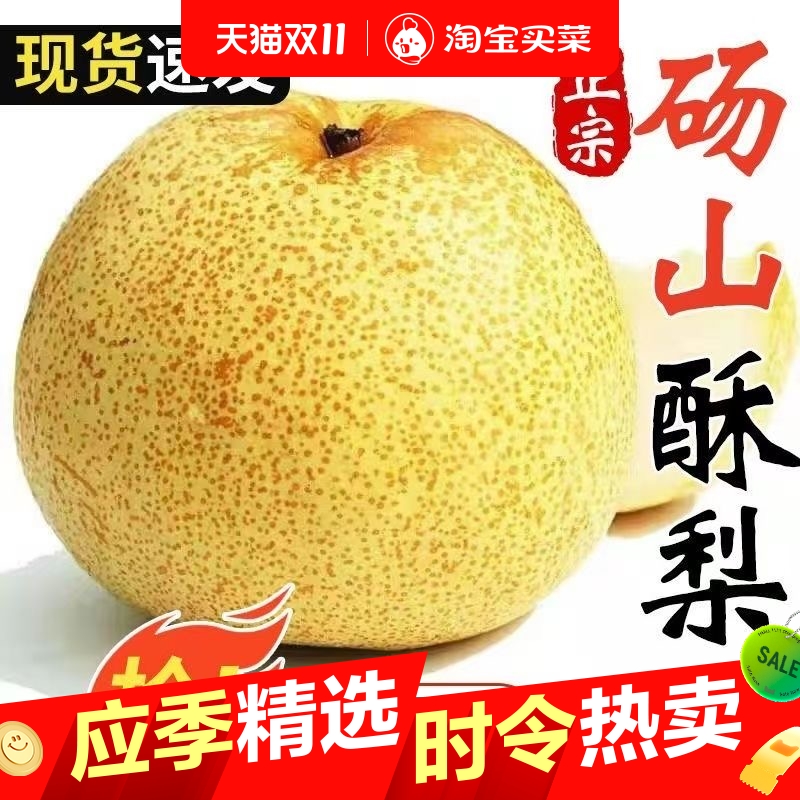 砀山酥梨新鲜水果脆梨香甜梨产地直发