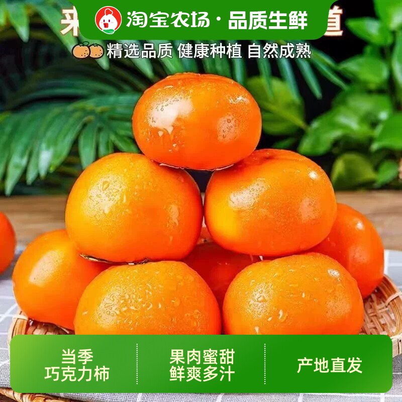 正宗巧克力甜脆柿新鲜软柿硬柿子孕妇水果整箱时令甜柿子大果当季