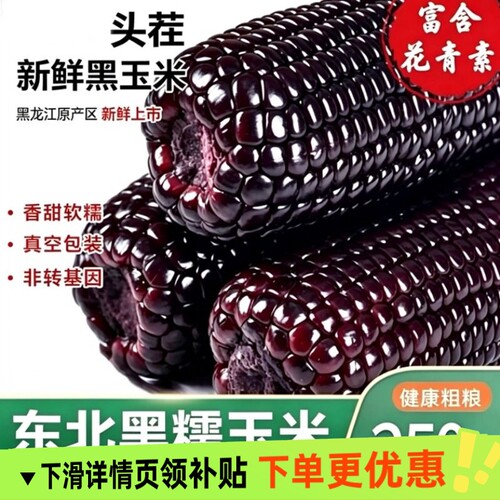 头茬黑玉米大棒10支新黑糯玉米新鲜现摘真空装包甜糯黏黑玉米代餐