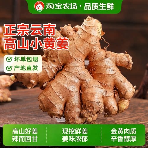 云南小黄姜姜新鲜生姜老姜鲜现挖自种姜嫩蔬菜整箱批发农家辛辣