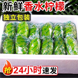 薄皮无籽青柠檬香水5斤新鲜水果现摘一级小青柠非塔希提绿柠檬水