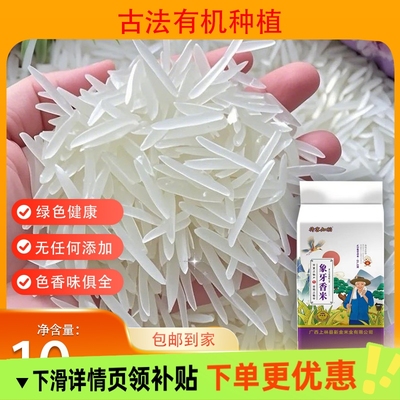 正宗广西象牙米寿乡长粒香米农家生态丝苗米晚稻新米一级大米籼米