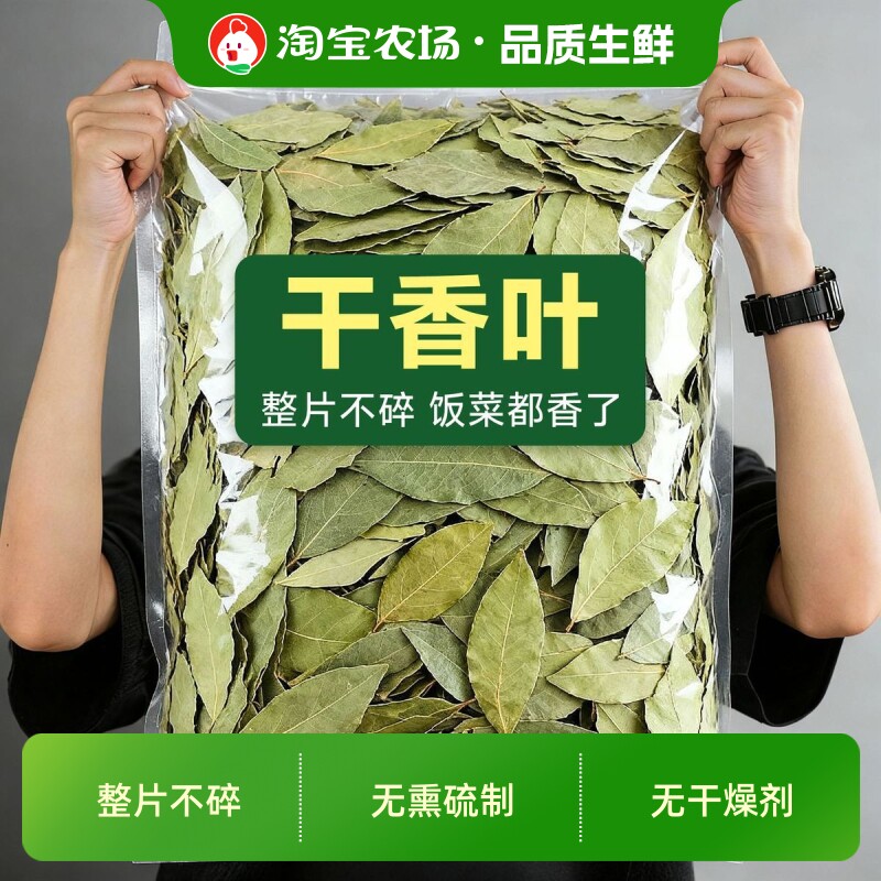 新鲜头茬香叶 新货广西新货香叶无硫香叶香料卤料商用食用批发