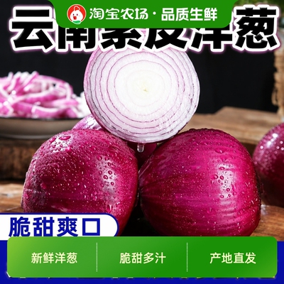 新鲜现挖  当季紫皮红洋葱深紫色生吃水果洋葱圆葱蔬菜批发包邮