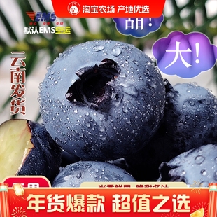 整箱EMS空运包邮云南花香蓝莓大果农场直发新鲜采摘一颗佳莓沃季