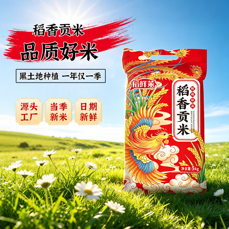当季新米东北大米10斤5kg珍珠米家庭日常米饭20斤粳米稻香优质