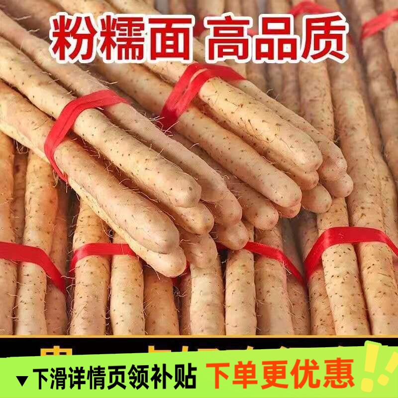 铁棍山药新鲜淮山药铁杆山药小白嘴山药现挖新货非河南焦作温县