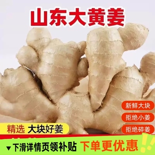 地头价山东大姜老姜生姜新鲜黄姜3斤/5斤农家月子姜当季农场自提