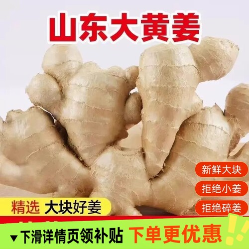 地头价山东大姜老姜生姜新鲜黄姜3斤/5斤农家月子姜当季农场自提