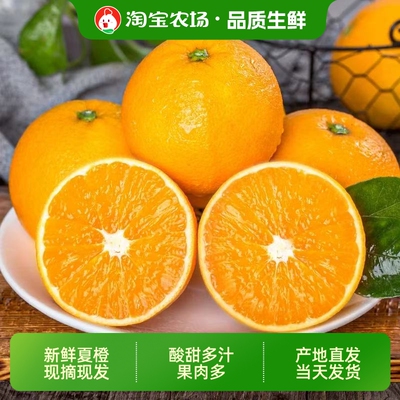 正宗江西甜橙子手剥橙赣南夏橙孕妇当应季新鲜水果整箱包邮现摘