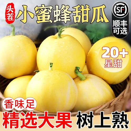 顺丰山东小蜜蜂甜瓜新鲜水果星甜20蜜罐甜瓜整箱头茬现货顺丰包邮