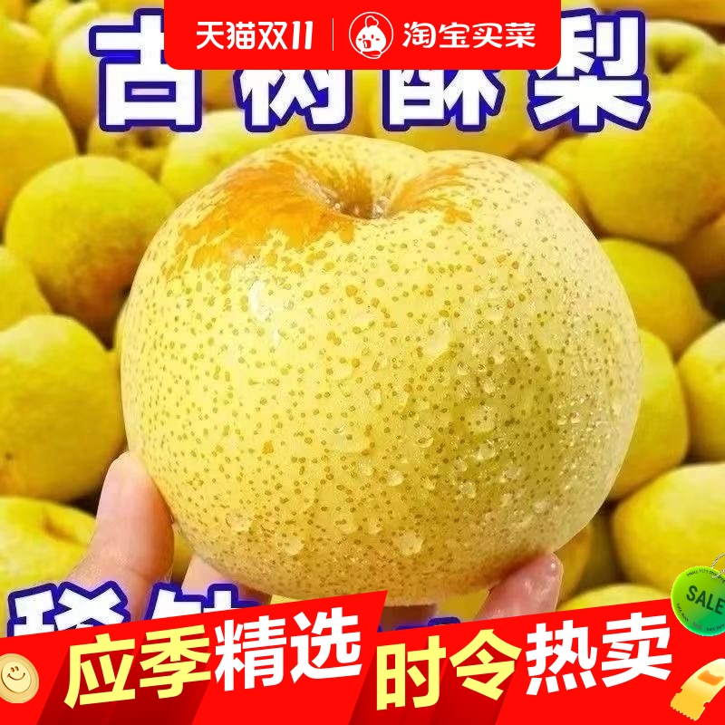 正宗砀山黄皮酥梨爆甜脆梨子水果梨新鲜薄皮应季水果批发脆甜多汁