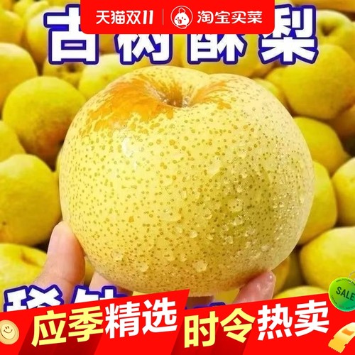 正宗砀山黄皮酥梨爆甜脆梨子水果梨新鲜薄皮应季水果批发脆甜多汁