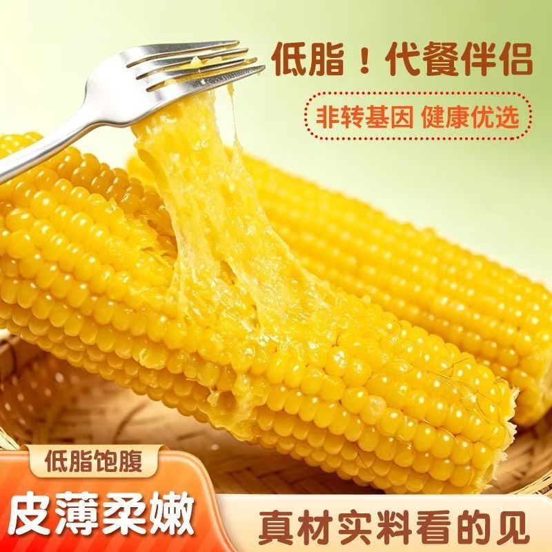 东北糯玉米棒新鲜真空黏玉米非转基因代餐鲜食玉米棒苞米