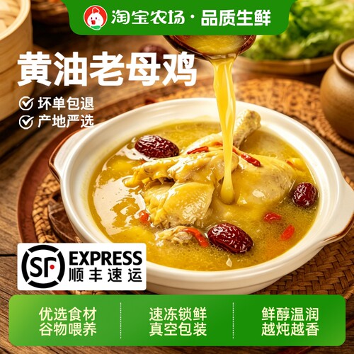正宗皖南黄油老母鸡山林生鲜整鸡煲汤土鸡顺丰包邮新鲜冷冻农场