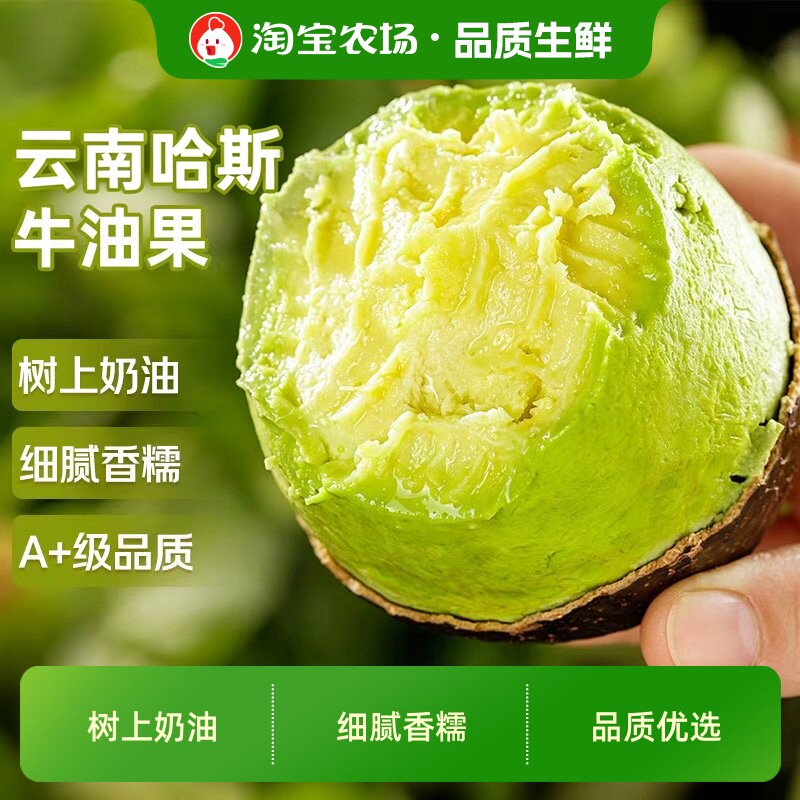 云南哈斯精品牛油果绵密浓香品质大果健身减脂代餐辅食鲜果新鲜