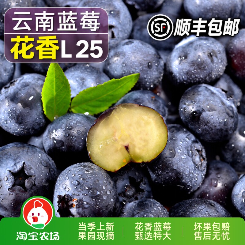 顺丰云南花香高山蓝莓现摘L25鲜果孕妇当季时令高端新鲜水果冷冻