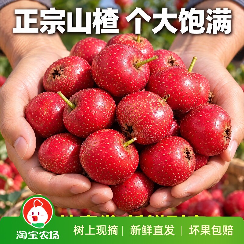 2026年新鲜山楂果甜红子鲜果甜口山里红红心冰糖葫芦酸甜专用水果