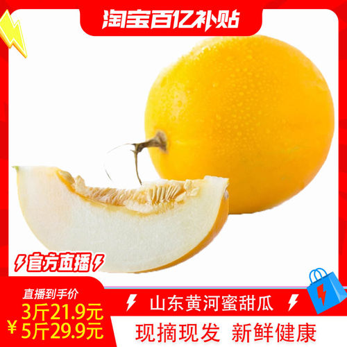 黄河蜜瓜甜瓜新鲜水果应当季白肉甜瓜香瓜新鲜现摘