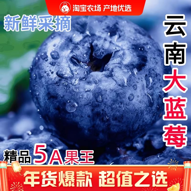 云南高山蓝莓鲜果花香蓝莓野生蓝莓新鲜水果现摘怡颗甜莓大果整箱,水产肉类/新鲜蔬果/熟食,蓝莓,淘宝优惠券,粉丝福利购,淘宝优惠卷
