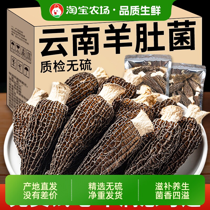 云南野生羊肚菌干货正宗羊肚蘑菇菌剪柄菇儿童老人食材营养有机