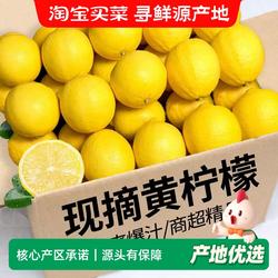正宗四川安岳柠檬当季新鲜黄柠檬鲜柠檬果批发
