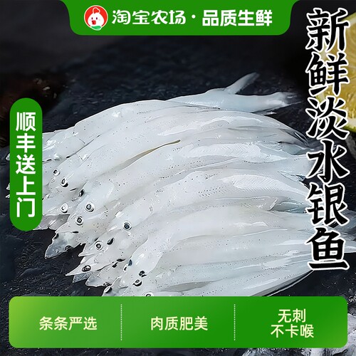新鲜天然银鱼无刺无鳞高钙低脂苏州特产淡水整箱包邮冷冻野生