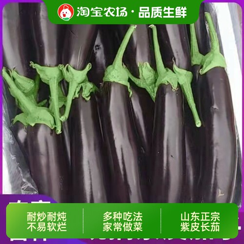 山东烧烤面包茄子产地直发包邮