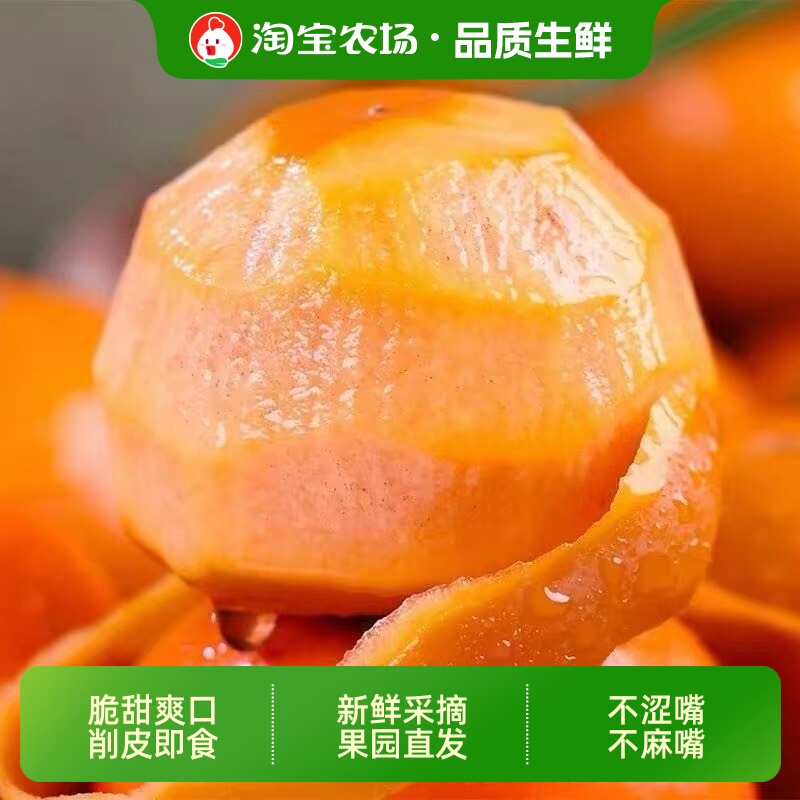 巧克力脆柿子水果新鲜当季黄硬甜脆火晶小柿子甜应季5斤农场味道