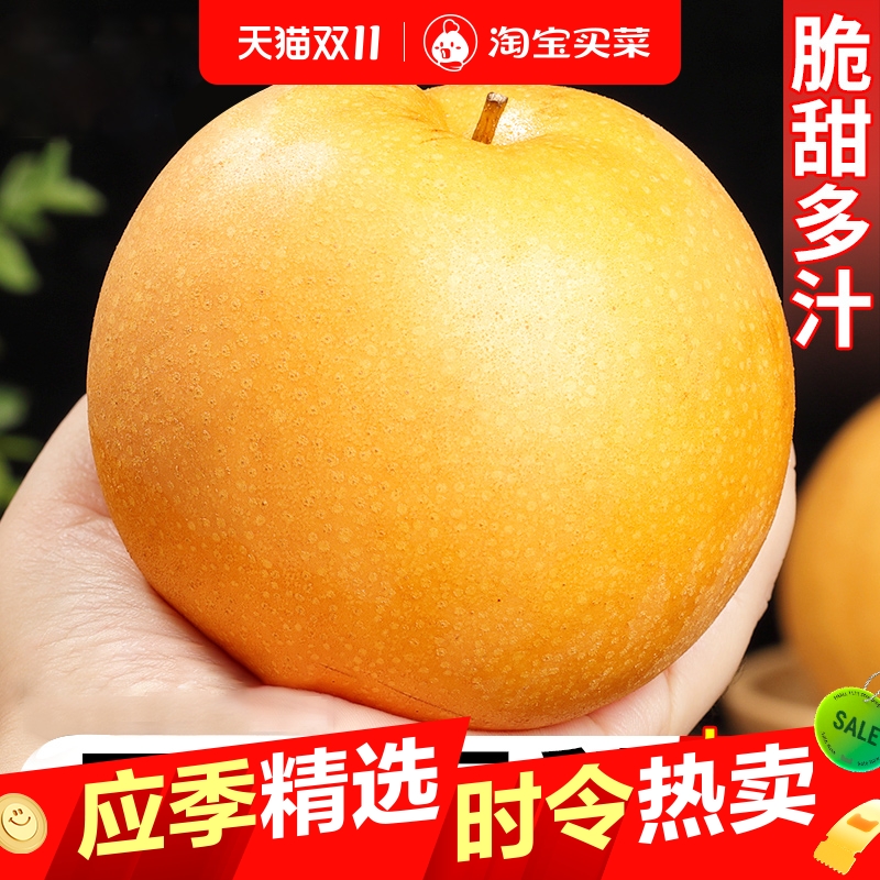 正宗山东秋月梨新鲜梨子10斤当季现摘冰糖梨雪梨蜜梨水果包邮礼盒